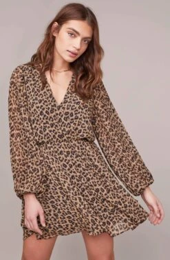 Raphaela Leopard Print Dress