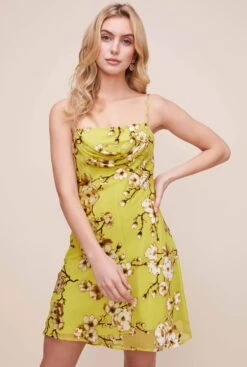 Lark Floral Mini Dress