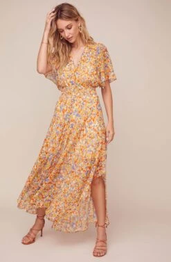Sophronia Floral Maxi Dress