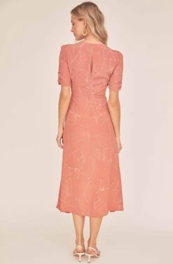 Cher Sketch Midi Dress -Dresses Sales Store ACDR100481 CLAY BALLET SKETCH 4A