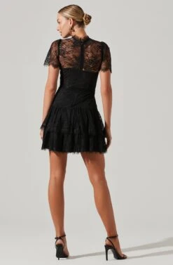 Leilani Lace Bustier Mini Dress -Dresses Sales Store ACDR100765 BLACK 6
