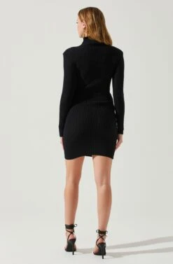 Gwendolyn Turtleneck Sweater Mini Dress -Dresses Sales Store ACDR100970SH BLACK 6