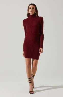 Gwendolyn Turtleneck Sweater Mini Dress -Dresses Sales Store ACDR100970SH WINE 1
