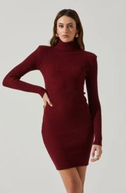 Gwendolyn Turtleneck Sweater Mini Dress -Dresses Sales Store ACDR100970SH WINE 3