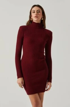 Gwendolyn Turtleneck Sweater Mini Dress -Dresses Sales Store ACDR100970SH WINE 4