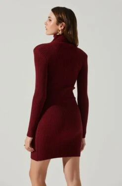 Gwendolyn Turtleneck Sweater Mini Dress -Dresses Sales Store ACDR100970SH WINE 5