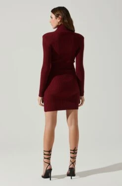 Gwendolyn Turtleneck Sweater Mini Dress -Dresses Sales Store ACDR100970SH WINE 6
