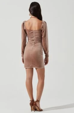 Ellsmere Velvet Rouched Long Sleeve Mini Dress -Dresses Sales Store ACDR101030 BLUSHNUDE 5