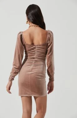 Ellsmere Velvet Rouched Long Sleeve Mini Dress -Dresses Sales Store ACDR101030 BLUSHNUDE 6