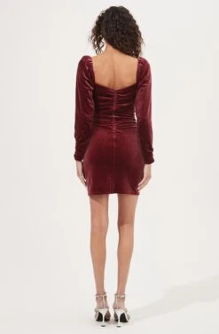 Ellsmere Velvet Rouched Long Sleeve Mini Dress -Dresses Sales Store ACDR101030 CRANBERRY 5