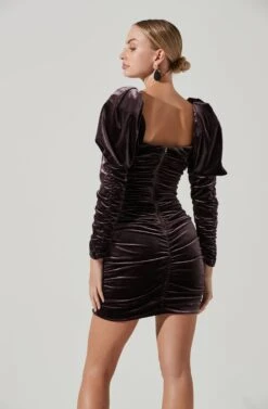 Tilston Velvet Puff Sleeve Mini Dress -Dresses Sales Store ACDR101388 RAISIN 5