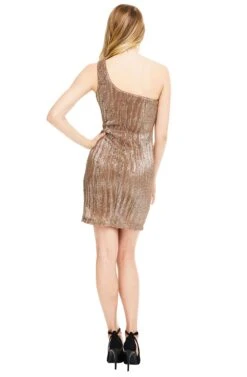 Serena Dress -Dresses Sales Store ACDR94764 BRONZE 03