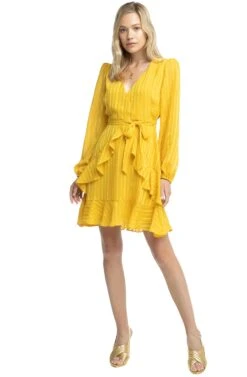 Ruffle Tie Front Dress