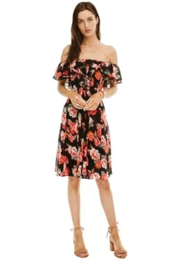 Cassidy Floral Dress -Dresses Sales Store ACDR95255 BLACK MULTI FLORAL 01
