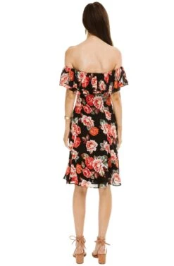 Cassidy Floral Dress -Dresses Sales Store ACDR95255 BLACK MULTI FLORAL 03