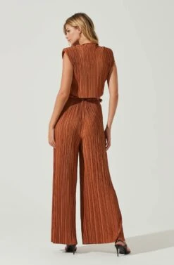 Cruise Pleated Wide Leg Pants -Dresses Sales Store ACP7230 RUST 3