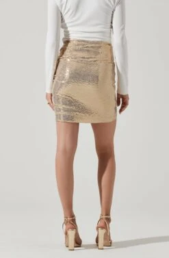 Dancing Queen Sequin Mini Skirt -Dresses Sales Store ACS9077 GOLD 4 f752f0a9 65e0 4f42 9254 6d8108bdaa1a