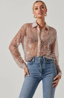 Maxine Sheer Sequin Long Sleeve Top