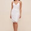 Lattice Inset Lace Dress