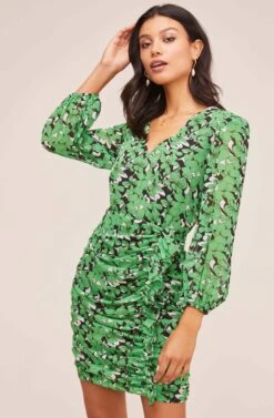 Shirred Long Sleeve Mini Dress