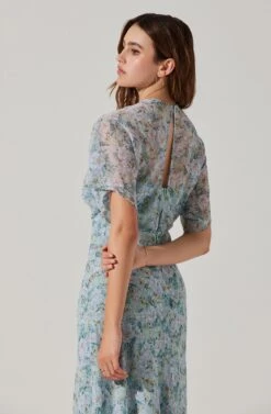 Flutter Sleeve Open Back Maxi Dress -Dresses Sales Store ADR101803 LIGHTBLUEMULTIFRL 6