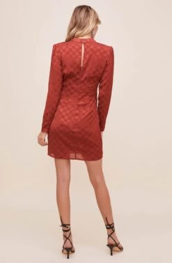 Jolene Polkadot Dress -Dresses Sales Store ADR95354 CINNAMON 8